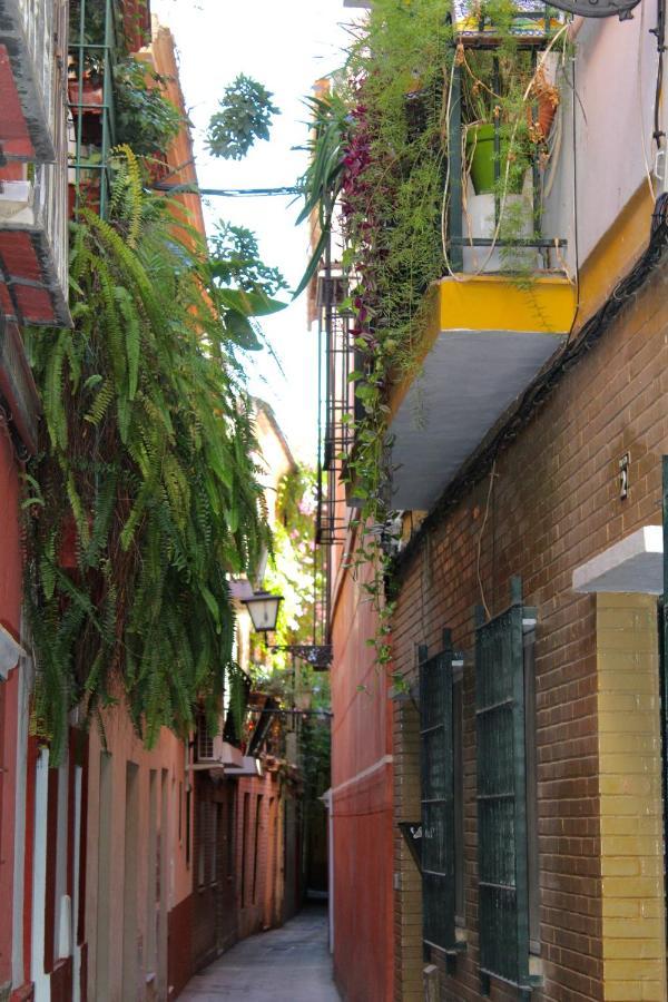 Green Street Sevilla Exteriör bild